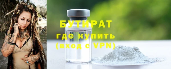 прущие грибы Корсаков