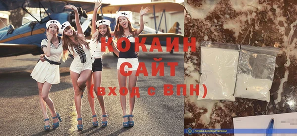 прущие грибы Корсаков
