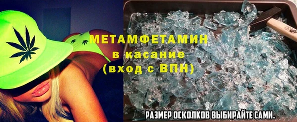 прущие грибы Корсаков