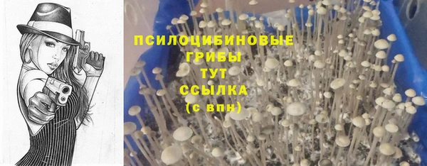 соль курить ск Костерёво