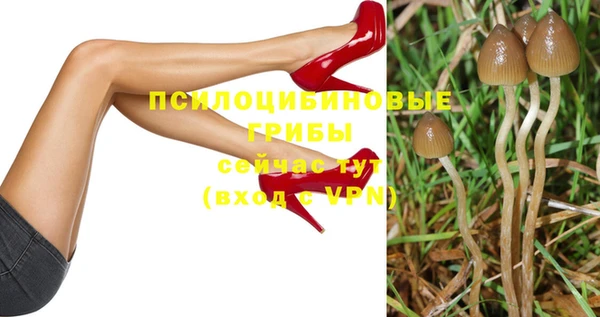 первитин Новозыбков
