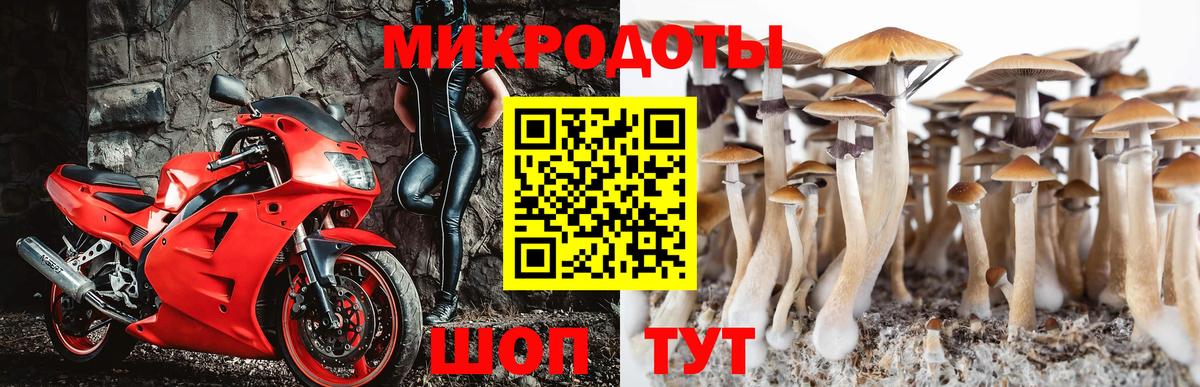 Галлюциногенные грибы Psilocybine cubensis  Вход с VPN  Октябрьский 